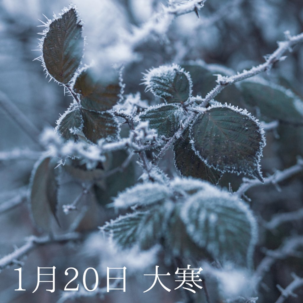 1月20日「大寒」