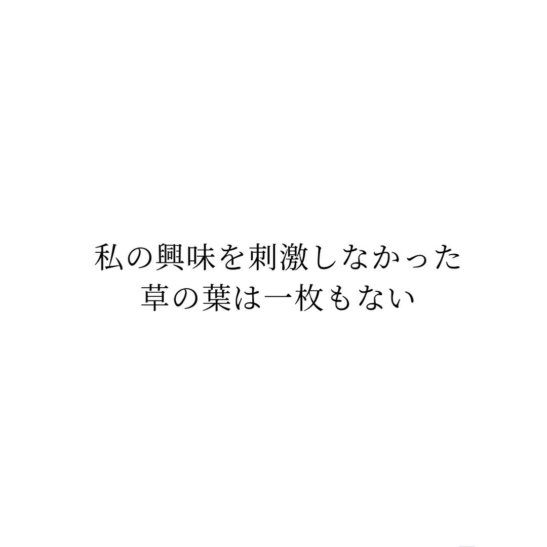 私の興味を刺激しなかった草の葉は一枚もない-トーマス・ジェファーソンThere is not a sprig of grass that shoots uninteresting to me.-Thomas Jeffersonわかるなぁと秋。気がつけば、きれいな落ち葉探しては下ばかりみてるこの頃。上を向かなきゃいけない時なのに、今に季節に釘づけです。今日もいちりんあなたにどうぞ。