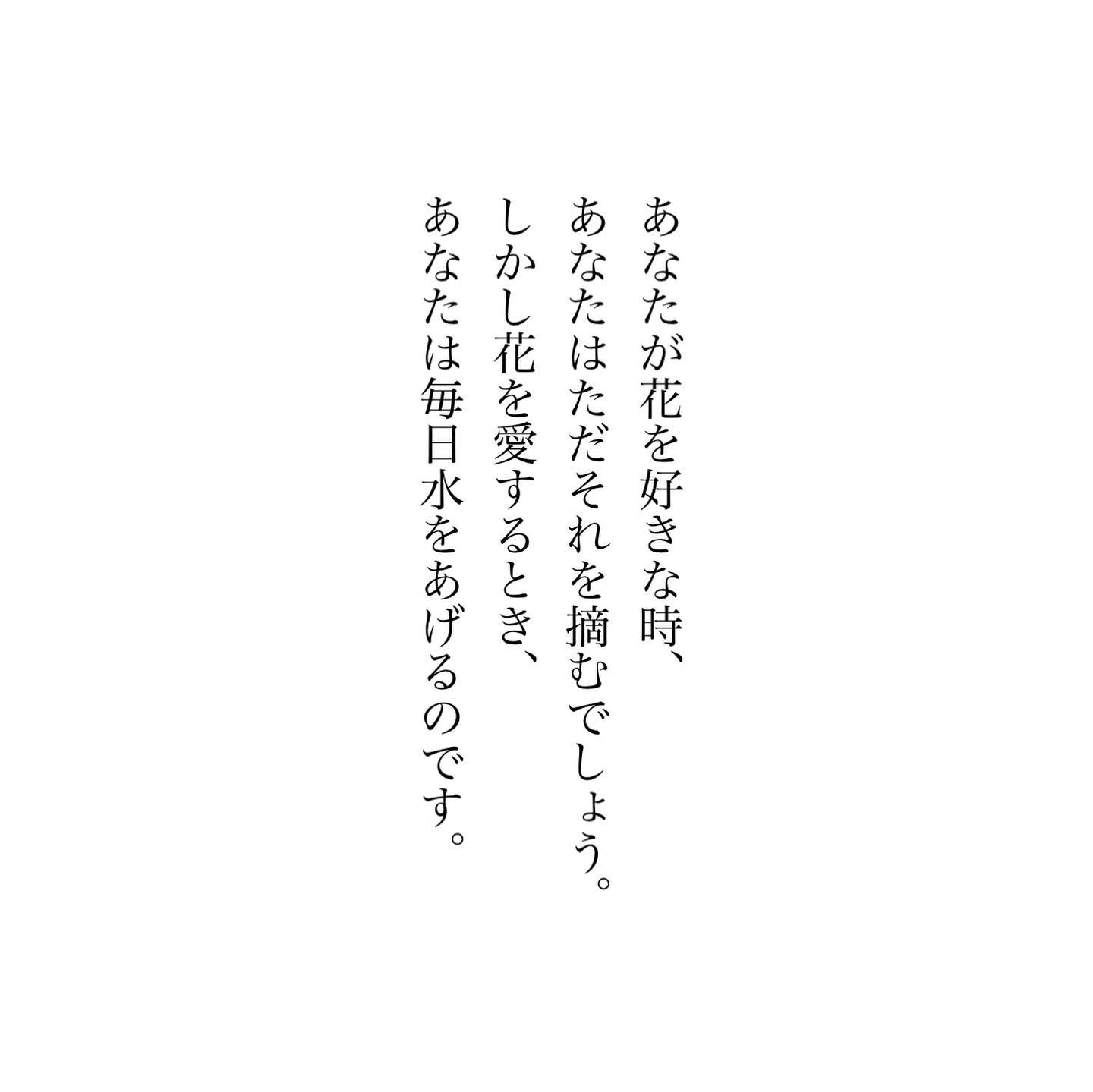 「花が好き」と言う場合、ひとはただ花を摘むのです。けれど「花を愛してる」という場合、人は花を世話をし、毎日水をやるんです。つまりそれを理解することが、人生を理解するということなんです。「好き」と「愛す」の違いは何でしょう。この問いに、秀麗にこたえられる自分になりたいと、思いました。今日もいちりんあなたにどうぞ。***あなたが花を好きな時、あなたはただそれを摘むでしょう。しかし花を愛するとき、あなたは毎日水をあげるのです。アジサイ 花言葉「和気藹々」