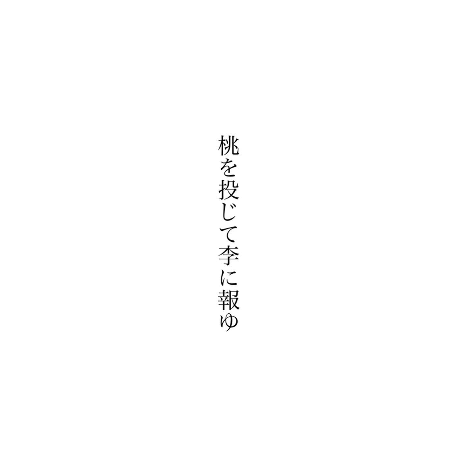 「桃を投じて李に報ゆ」とは、投桃報李(とうとうほうり)の訓読で、桃が贈られてくれば、その返礼として李を贈ることをいい、自分が善をほどこせば、自然と相手も善に報いるものだといっています。日々、自分が与える以上に、なにかと嬉しく喜ばせてくれる人たちへ、お返しひとつも見つからない今だけれど、そんな道理にかなった関係を、いつも心に懸けながら、これからも大切にありがたく、繋いでゆきたく思います。今日もいちりんあなたにどうぞ。スモモ 花言葉「甘い生活」