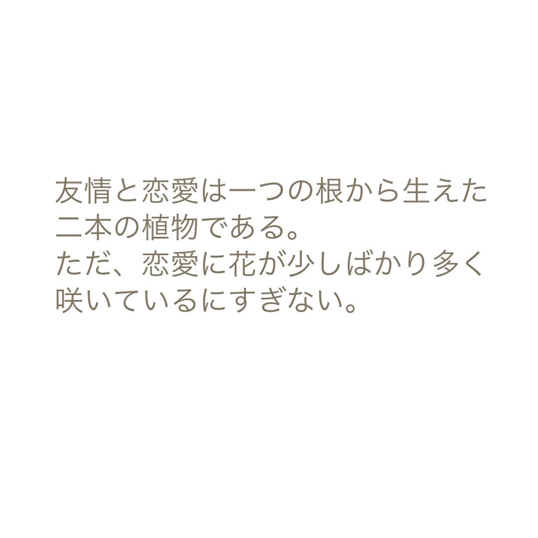 G・クロップシュトック◎シュウメイギク 花言葉「淡い思い」