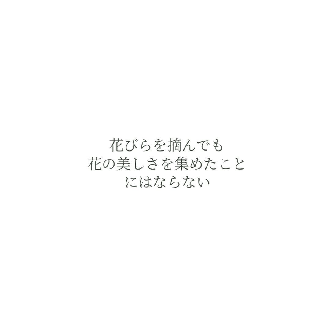 花びらを摘んでも花の美しさを集めたことにはならない