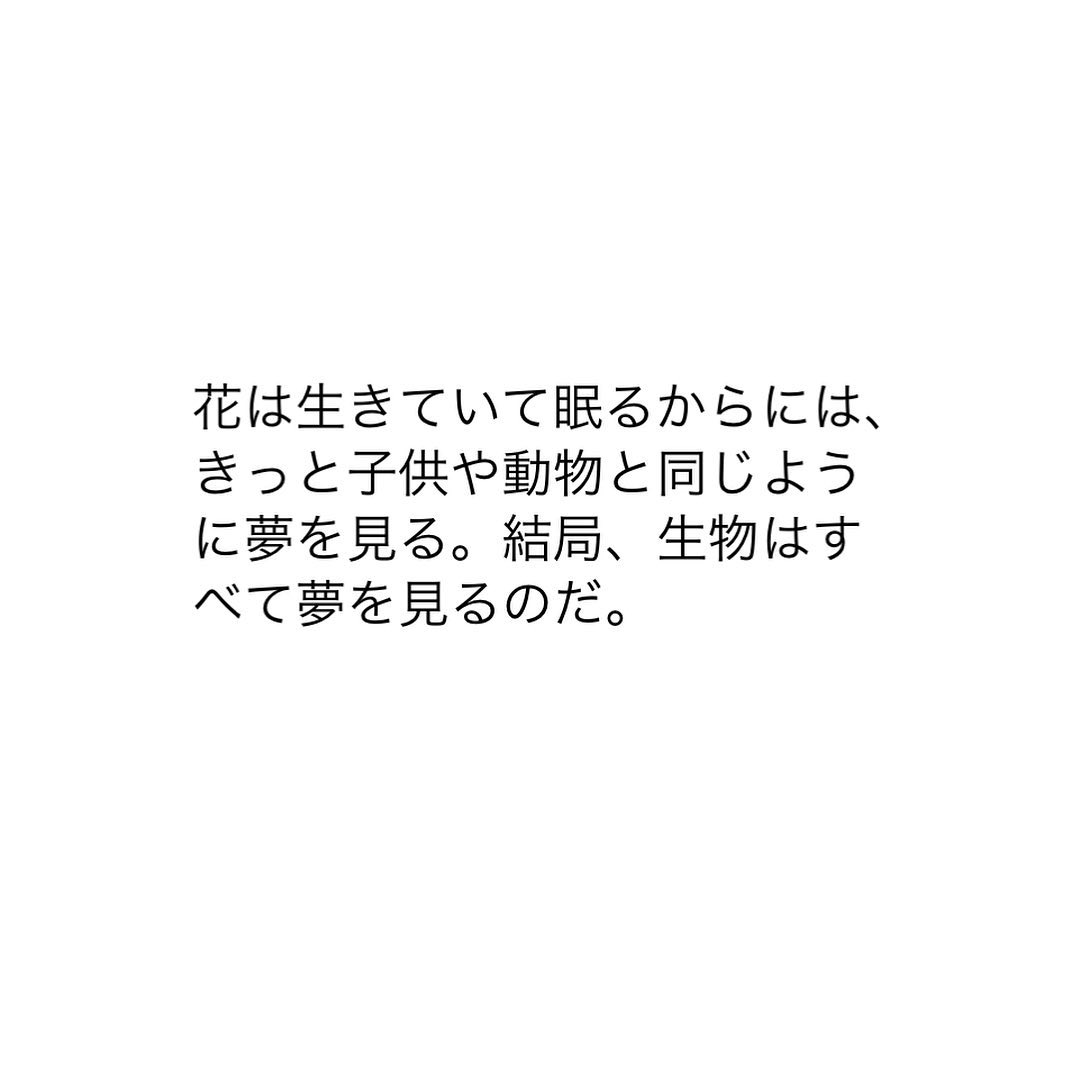 自然の美しい姿とは、華やかさに限らず凡庸な姿形であっても、それと見る者には肉欲的な思いを育ませるような気がする。季が移り末枯れて、抽象の姿に変貌しても、よりいっそう冴え冴えとして映るように見える。花をただ眺めているだけでもそう思うし、何処からともなく聴こえてくる声があるのだから、花のわかる人には、より力限りの絶唱が、耳に聴こえているんだろう。今日もいちりんあなたにどうぞ。花は生きていて眠るからには、きっと子供や動物と同じように夢を見る。結局、生物はすべて夢を見るのだ。-ジャン　パウルチューリップ 花言葉「思いやり」