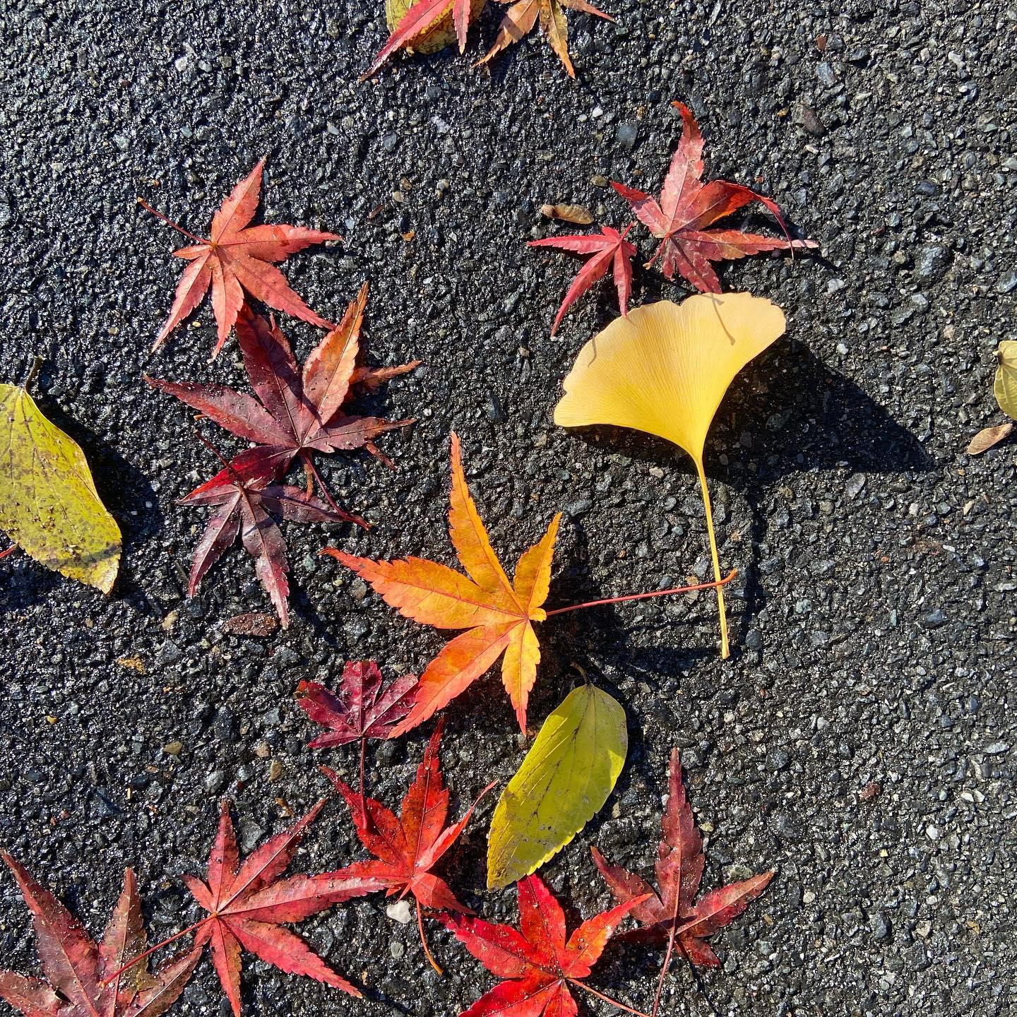 「秋の歌」（ 原題：Chanson d’automne）