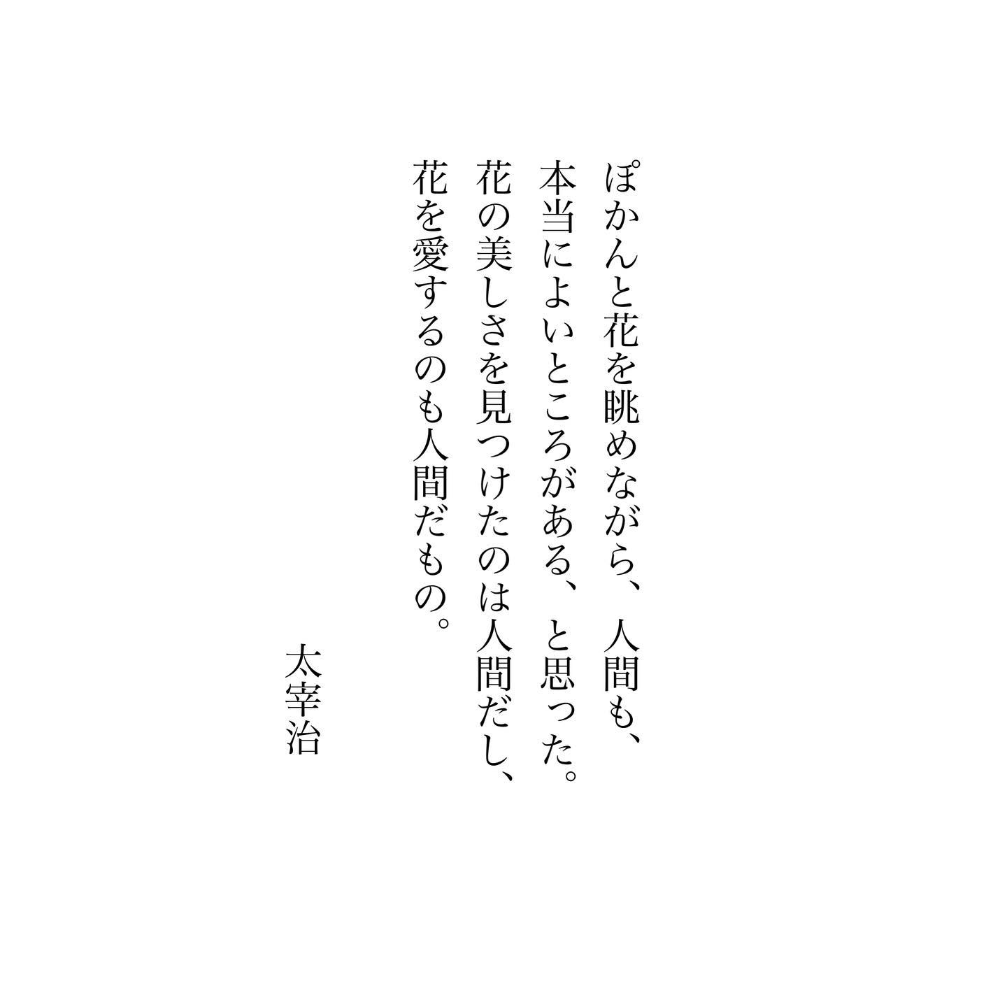 年末雑感。「自分」という名のパズルはいつまでたっても何かが足りなく、いつもどこか欠けていて、いつまでも未完成なままだなぁと。でもそんな不十分に思い馳せるたびに、あの人がいてくれた、あの人のおかげでと、ふわりふわり有難さが込み上げてくるから、それも悪くないなぁと。そうして誰よりも、やっぱり今年もあなたへ感謝を届けたくなるから、そういうものなんだなぁと、思いました。今年もあといちにち。今日もいちりんあなたにどうぞ。ぽかんと花を眺めながら、人間も、本当によいところがある、と思った。花の美しさを見つけたのは人間だし、花を愛するのも人間だもの。-太宰治スイセン 花言葉「神秘」