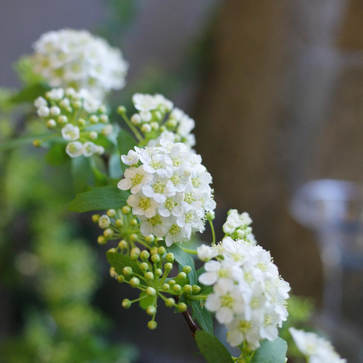 春は桜、秋は月、冬は雪。古くから「雪月花」と称されたように、雪は冬を代表する風物詩です。古くから日本人は、空か...