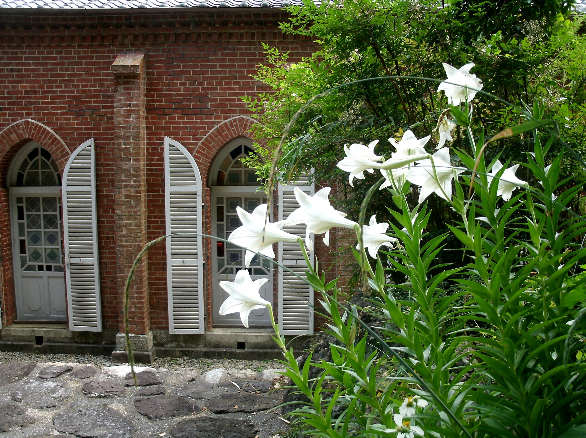 キリスト教の宗派による違い、花を贈るときのマナーが知りたい